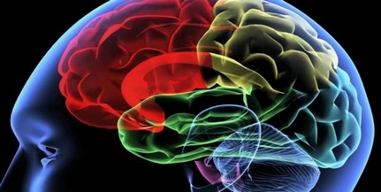 Kiderült, hogy miért a zajos agy a hatékony agy