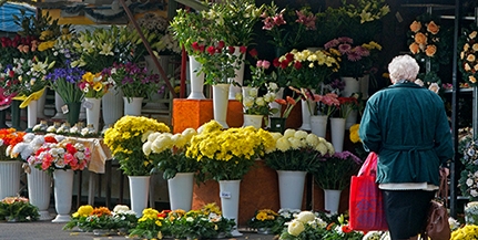 Egymással versengenek a virágárusok és a boltok a vásárlók kegyeiért Mindenszentek előtt