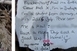 Palackpostát fogtak ki a Dunából, több mint egy évet utazott Palackpostát fogtak ki a Dunából, több mint egy évet utazott