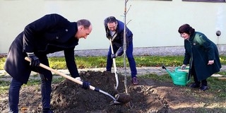 Több mint félmilliárdos vízhálózat-fejlesztés fejeződött be a régi Kertvárosban Több mint félmilliárdos vízhálózat-fejlesztés fejeződött be a régi Kertvárosban