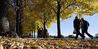 Teljesen megbolondult az időjárás, novemberi tavasz lesz a héten