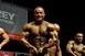 Negyedik világbajnoki címét is besöpörte Mr. Universe, Major Zsolt, a bólyi Schwarzenegger Negyedik világbajnoki címét is besöpörte Mr. Universe, Major Zsolt, a bólyi Schwarzenegger