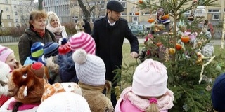Madáreleséggel díszítettek karácsonyfát a Köztársaság téren