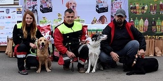 Bevetésre készen: levizsgáztak a Pécsi Mentőkutyás Egyesület nyomkeresői Bevetésre készen: levizsgáztak a Pécsi Mentőkutyás Egyesület nyomkeresői