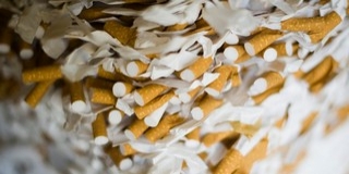 Díjnyertes kutyák mellett csempészték a cigarettát Díjnyertes kutyák mellett csempészték a cigarettát