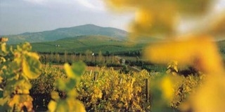 Kiemelt turisztikai fejlesztési térség lett Tokaj Kiemelt turisztikai fejlesztési térség lett Tokaj