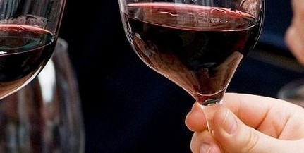 Villányi pincészetek mutatják be prémium boraikat