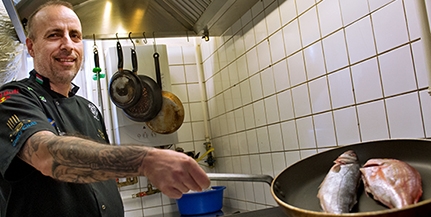 Gasztronómiai szélmalomharcot vív Brunner Attila, a kulináris olimpián díjazott szakács