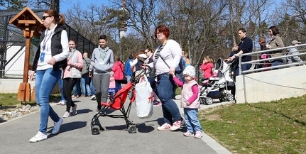 Olcsóbban mehetünk moziba, állatkertbe, múzeumba a kalandorok városában Olcsóbban mehetünk moziba, állatkertbe, múzeumba a kalandorok városában