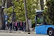 Légiriadó! Madarak bombázzák a buszmegállót - és persze az ott várakozó utasokat Légiriadó! Madarak bombázzák a buszmegállót - és persze az ott várakozó utasokat