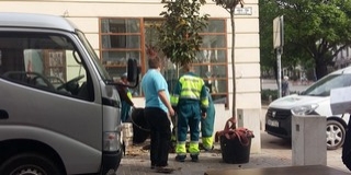 Új fákat ültetnek az elszáradtak helyére a Jókai téren Új fákat ültetnek az elszáradtak helyére a Jókai téren
