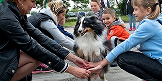 Íme a pécsi Kutyavilág: táncoló magyar vizsla, terápiás kutyák, étrendajánló - Videó!