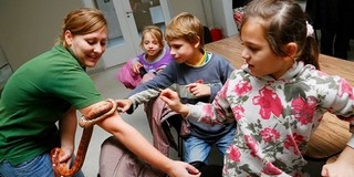 Több mint 200 ezren keresték fel egy év alatt a szakma által is díjazott állatkertet Több mint 200 ezren keresték fel egy év alatt a szakma által is díjazott állatkertet
