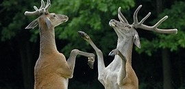 Plaza: A természettől a társadalomig