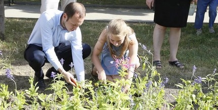 Több zöldet kértek, megkapták: a belváros déli szélén is fákat, cserjéket ültettek Több zöldet kértek, megkapták: a belváros déli szélén is fákat, cserjéket ültettek