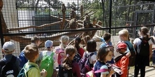 Nyíregyházáról érkezett a felújított állatkert 250 ezredik látogatója Nyíregyházáról érkezett a felújított állatkert 250 ezredik látogatója