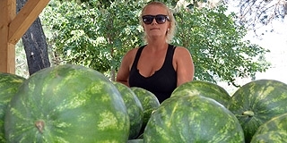 Az ormánsági dinnyét népszerűsítik Pécsett