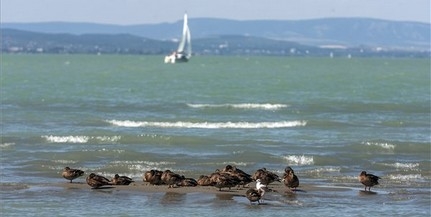 Vízbe fulladt egy 19 éves fiatal Balatonfüreden Vízbe fulladt egy 19 éves fiatal Balatonfüreden