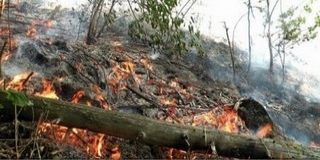 Hőség - Bozóttűz pusztít a Madarasi Hargitán Hőség - Bozóttűz pusztít a Madarasi Hargitán