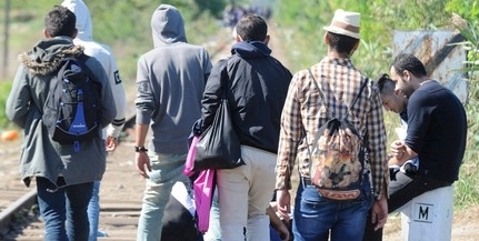 Nagybaracskánál is fogtak migránsokat a határvédők Nagybaracskánál is fogtak migránsokat a határvédők