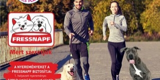 Jótékonyság: együtt futhatnak a kutyák és gazdáik Jótékonyság: együtt futhatnak a kutyák és gazdáik