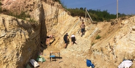 Újabb őshüllőmaradványokat tárt fel Villányban Ősi Attila kutatócsoportja Újabb őshüllőmaradványokat tárt fel Villányban Ősi Attila kutatócsoportja