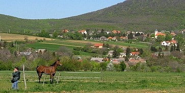 Baranyai tragikomédia