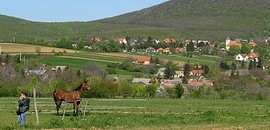 Baranyai tragikomédia