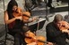 Startol a Jazzliget-sorozat az Erzsébetligetben Startol a Jazzliget-sorozat az Erzsébetligetben