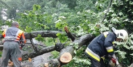 Sorra dőltek a fák a viharban, a vasútállomáson egy épületet is megbontott a szél Sorra dőltek a fák a viharban, a vasútállomáson egy épületet is megbontott a szél