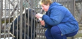 Állatkert: a látványetetések jönnek