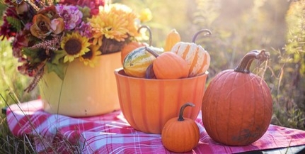 Az első novemberi hétvégén is sok napsütés várható Az első novemberi hétvégén is sok napsütés várható