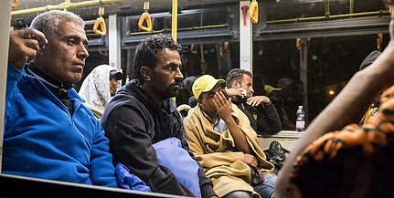 Fának rohant egy migránsokat szállító autó Fának rohant egy migránsokat szállító autó