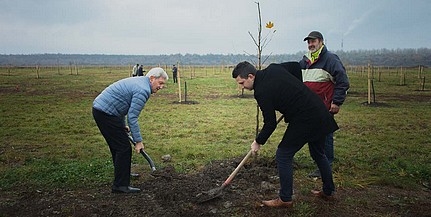 650 fát ültettek a PTE jubileuma alkalmából Tüskésréten