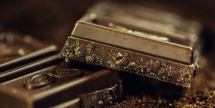 Csokikereskedők csaltak el 626 millió forint adót Csokikereskedők csaltak el 626 millió forint adót