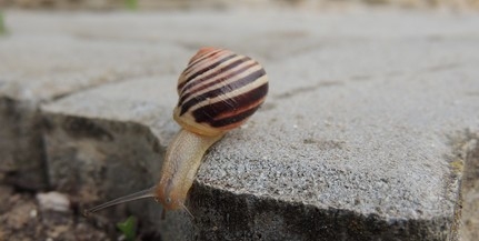 Burkolatjavításra kerül sor kedden az Építők útján Burkolatjavításra kerül sor kedden az Építők útján