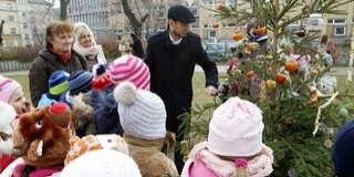 Madáreleségekkel díszítettek karácsonyfát a pécsi ovisok a Köztársaság téren Madáreleségekkel díszítettek karácsonyfát a pécsi ovisok a Köztársaság téren