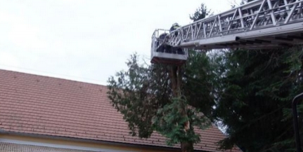 Kidőlt, megtört fák adtak munkát a tűzoltóknak Kidőlt, megtört fák adtak munkát a tűzoltóknak