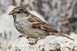 Nemzeti park: az ünnepek alatt változik a nyitvatartás Nemzeti park: az ünnepek alatt változik a nyitvatartás
