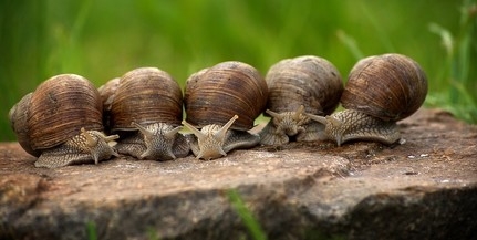Idén is tartanak előadásokat a nemzeti park munkatársai Idén is tartanak előadásokat a nemzeti park munkatársai
